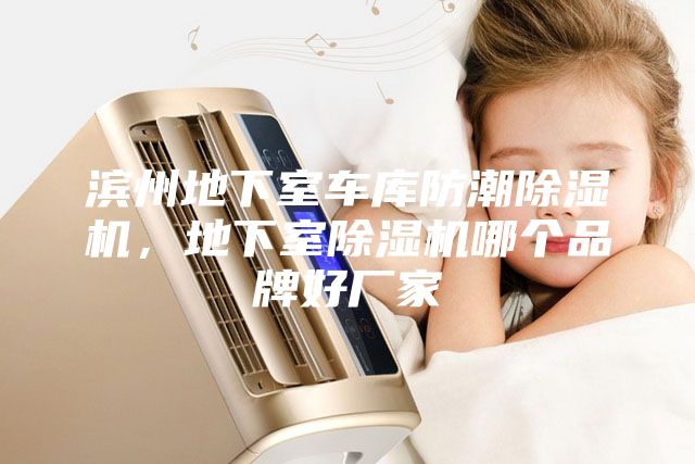 滨州地下室车库防潮除湿机，地下室除湿机哪个品牌好厂家