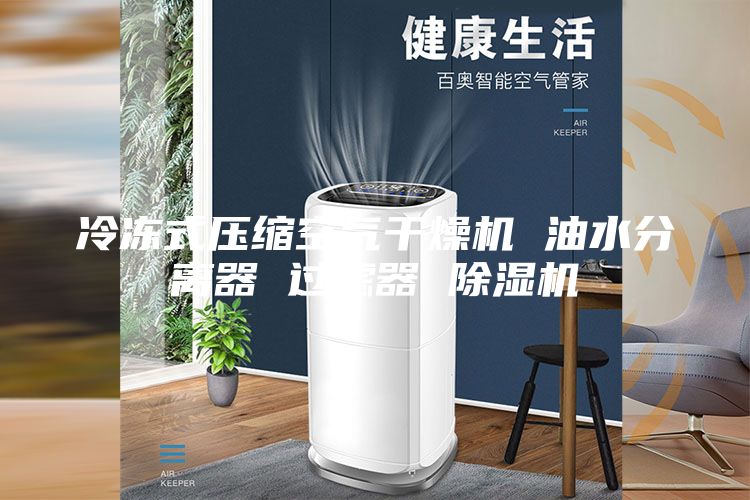 冷冻式压缩空气干燥机 油水分离器 过滤器 除湿机