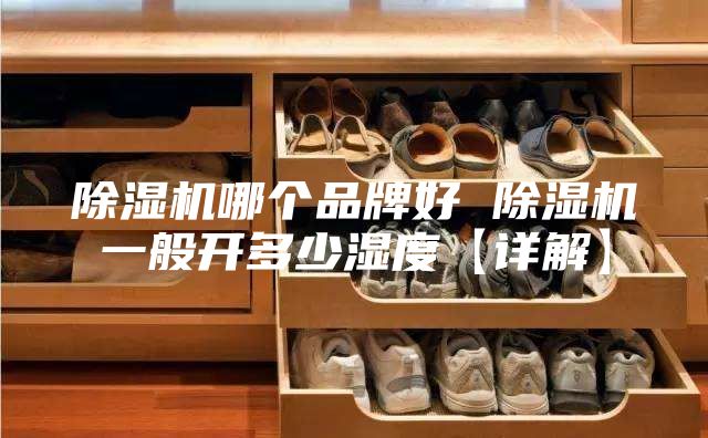 除湿机哪个品牌好 除湿机一般开多少湿度【详解】