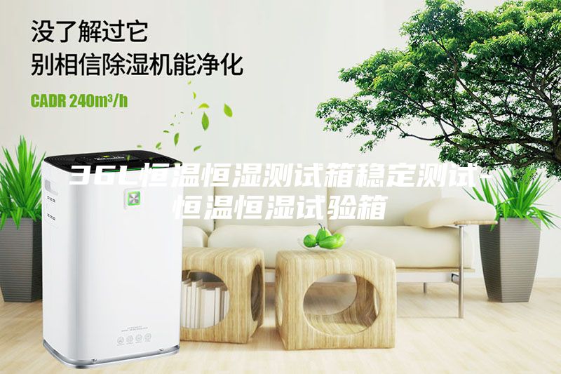 36L恒温恒湿测试箱稳定测试-恒温恒湿试验箱