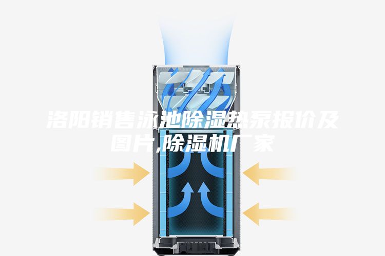 洛阳销售泳池除湿热泵报价及图片,除湿机厂家