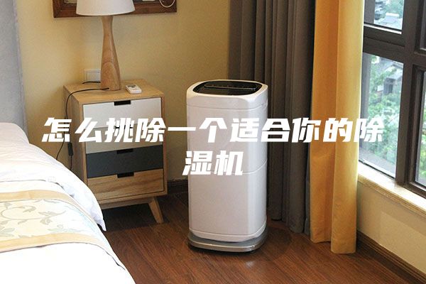 怎么挑除一个适合你的除湿机