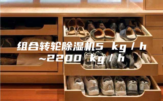 组合转轮除湿机5 kg／h~2200 kg／h