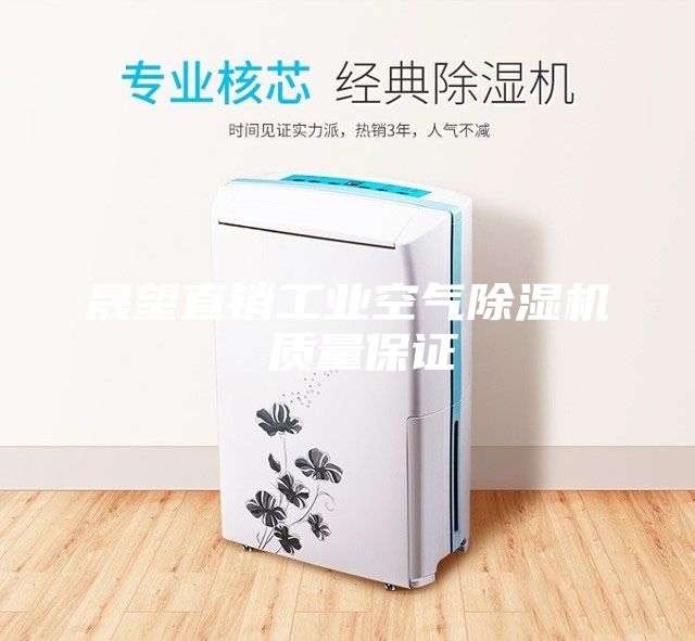 晟望直销工业空气除湿机 质量保证