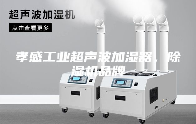 孝感工业超声波加湿器，除湿机品牌