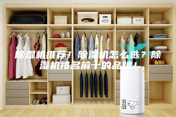 除湿机推荐！除湿机怎么选？除湿机排名前十的品牌！