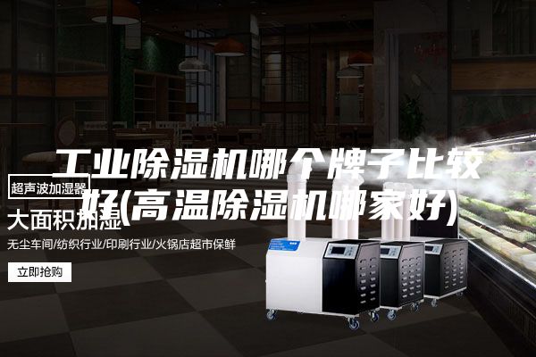 工业除湿机哪个牌子比较好(高温除湿机哪家好)