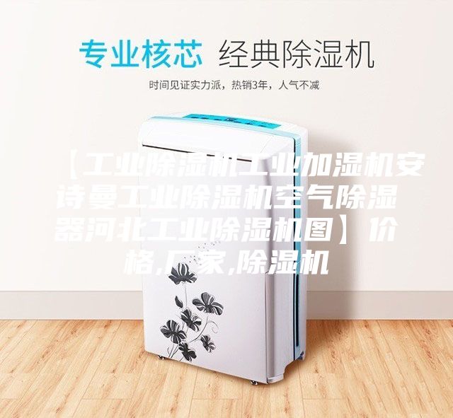 【工业除湿机工业加湿机安诗曼工业除湿机空气除湿器河北工业除湿机图】价格,厂家,除湿机