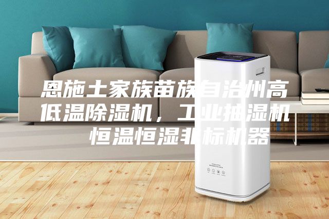 恩施土家族苗族自治州高低温除湿机，工业抽湿机  恒温恒湿非标机器