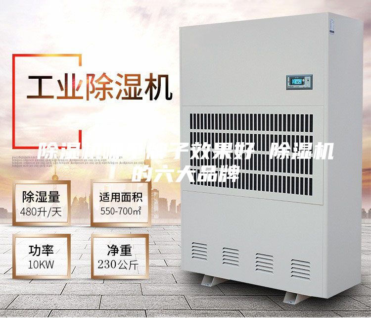 除湿机哪个牌子效果好 除湿机的六大品牌