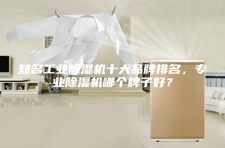 知名工业除湿机十大品牌排名，专业除湿机哪个牌子好？