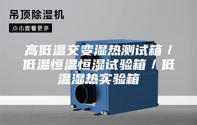 高低温交变湿热测试箱／低温恒温恒湿试验箱／低温湿热实验箱