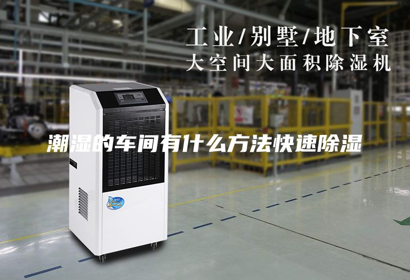 潮湿的车间有什么方法快速除湿