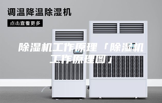 除湿机工作原理「除湿机工作原理图」