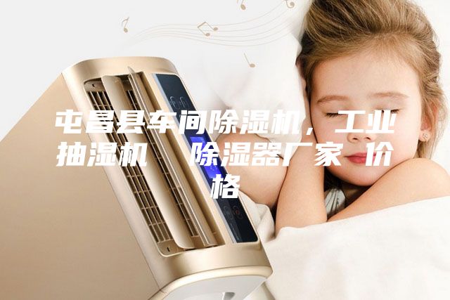 屯昌县车间除湿机，工业抽湿机  除湿器厂家 价格