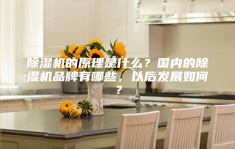 除湿机的原理是什么？国内的除湿机品牌有哪些，以后发展如何？