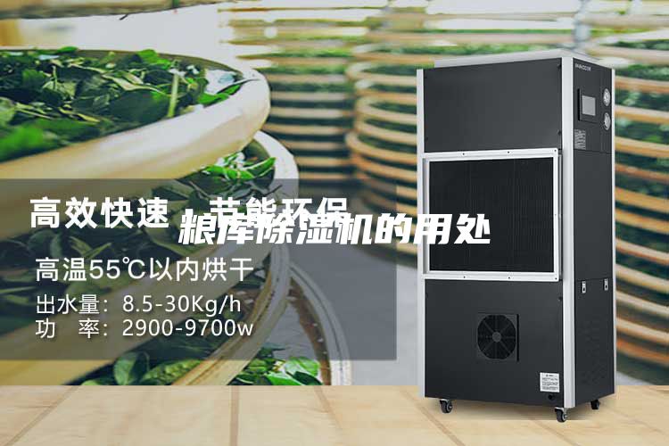 粮库除湿机的用处