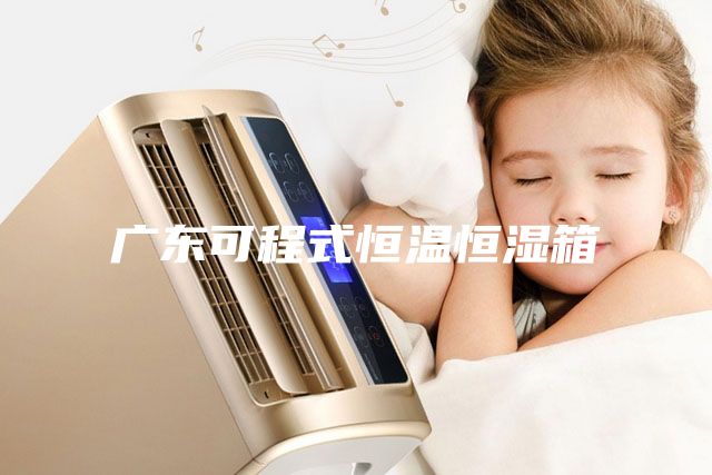 广东可程式恒温恒湿箱