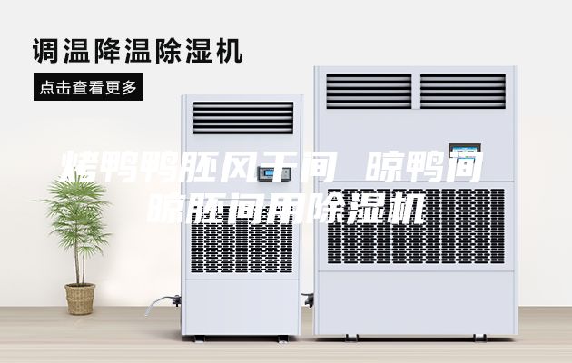 烤鸭鸭胚风干间 晾鸭间 晾胚间用除湿机