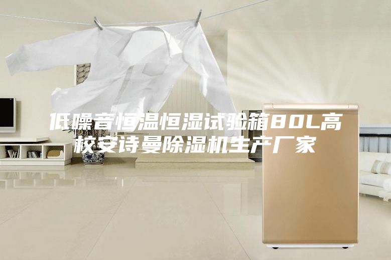 低噪音恒温恒湿试验箱80L高校安诗曼除湿机生产厂家