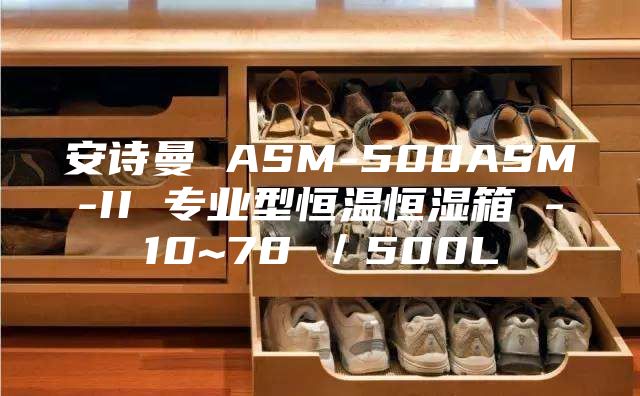 安诗曼 ASM-500ASM-II 专业型恒温恒湿箱 -10~70℃／500L