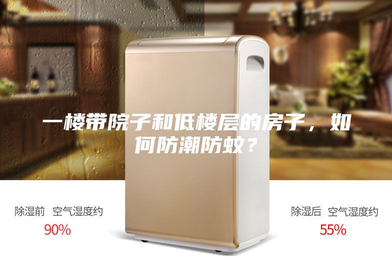 一楼带院子和低楼层的房子，如何防潮防蚊？