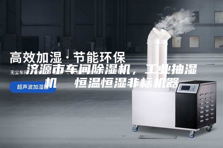 济源市车间除湿机，工业抽湿机  恒温恒湿非标机器