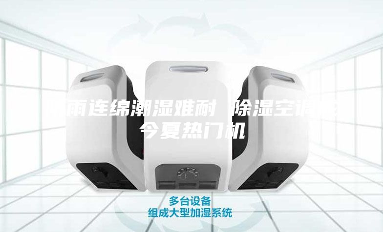 阴雨连绵潮湿难耐 除湿空调成今夏热门机