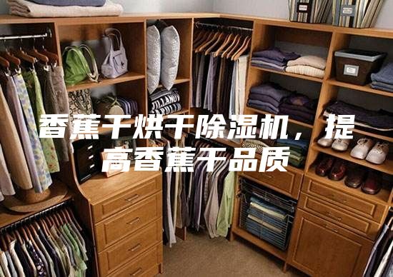 香蕉干烘干除湿机，提高香蕉干品质