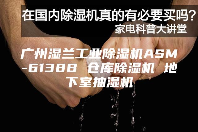 广州湿兰工业除湿机ASM-6138B 仓库除湿机 地下室抽湿机