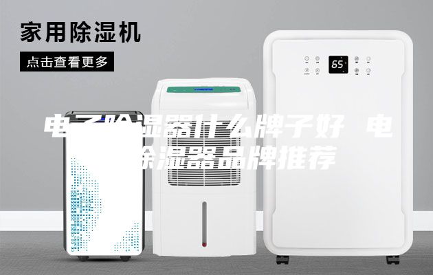电子除湿器什么牌子好 电子除湿器品牌推荐