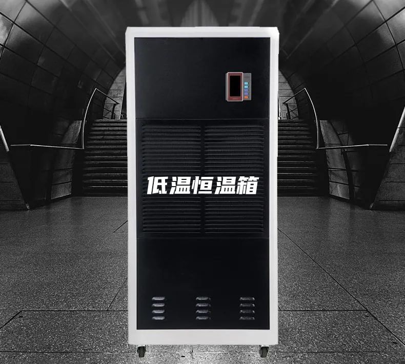 低温恒温箱