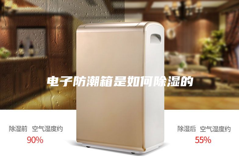 电子防潮箱是如何除湿的