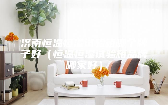 济南恒温恒湿试验箱哪个牌子好（恒温恒湿试验箱品牌哪家好）