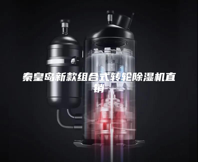 秦皇岛新款组合式转轮除湿机直销