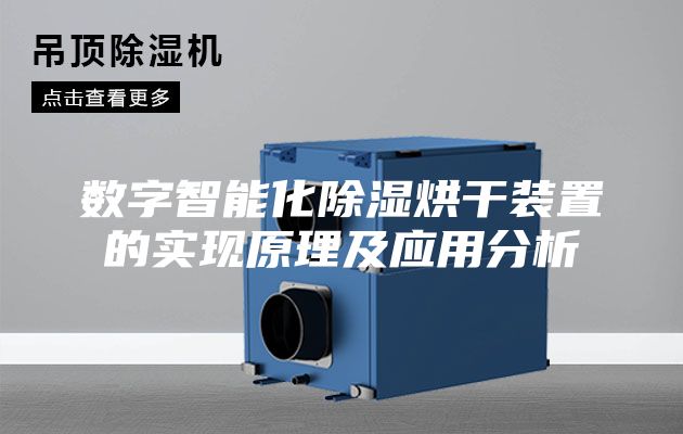 数字智能化除湿烘干装置的实现原理及应用分析