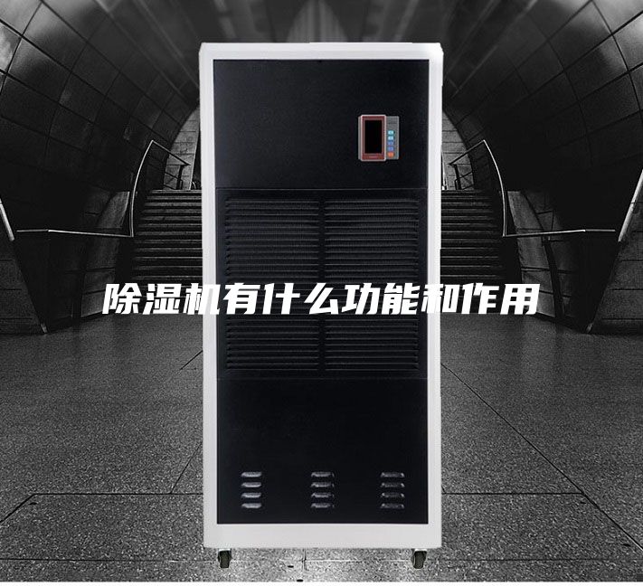 除湿机有什么功能和作用