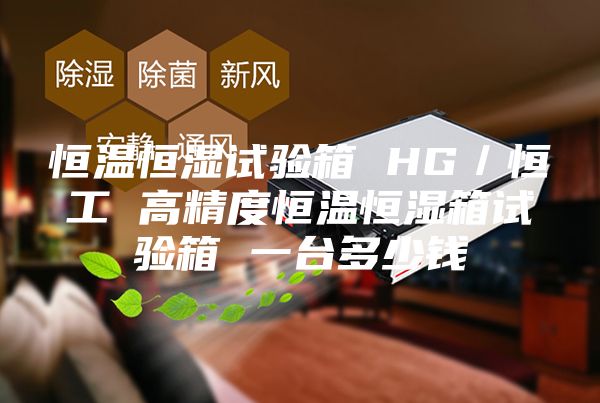 恒温恒湿试验箱 HG／恒工 高精度恒温恒湿箱试验箱 一台多少钱