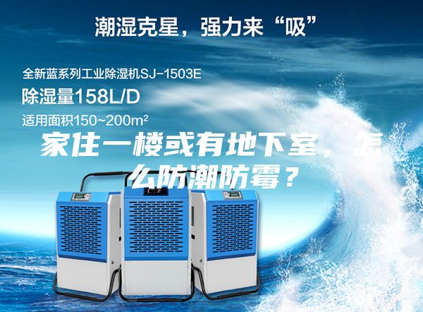 家住一楼或有地下室，怎么防潮防霉？