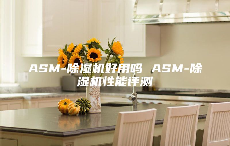 ASM-除湿机好用吗 ASM-除湿机性能评测