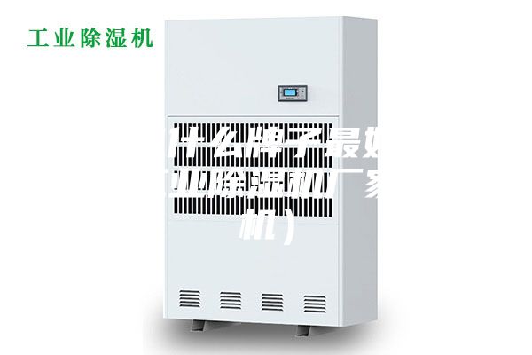 除湿机什么牌子最好（安诗曼工业除湿机厂家除湿机）
