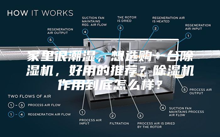 家里很潮湿，想选购一台除湿机，好用的推荐？除湿机作用到底怎么样？