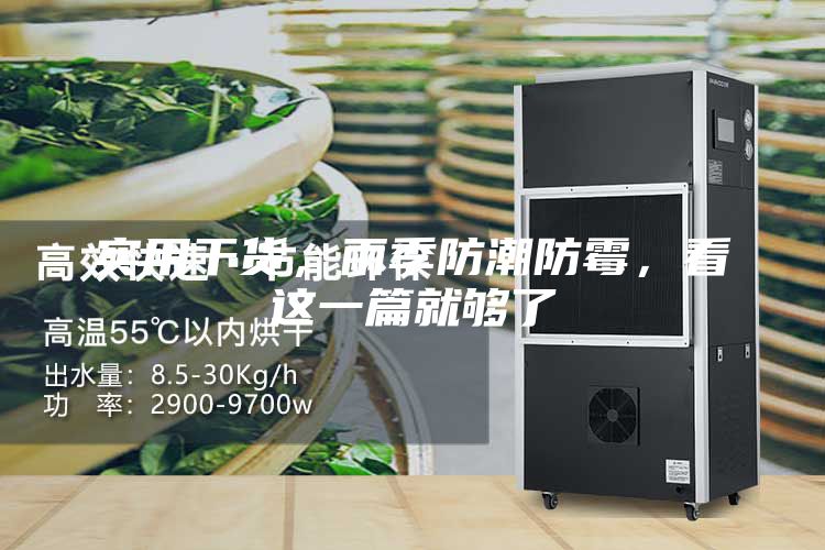 实用干货，雨季防潮防霉，看这一篇就够了