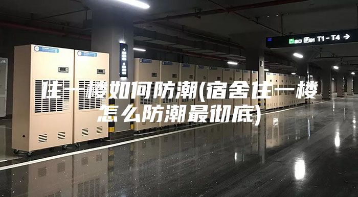 住一楼如何防潮(宿舍住一楼怎么防潮最彻底)