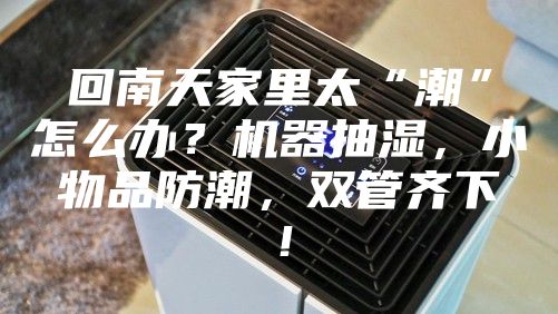回南天家里太“潮”怎么办？机器抽湿，小物品防潮，双管齐下！