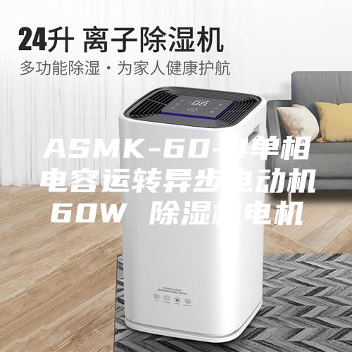 ASMK-60-4单相电容运转异步电动机60W 除湿机电机