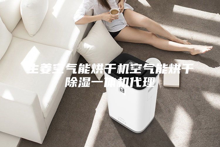 生姜空气能烘干机空气能烘干除湿一体机代理