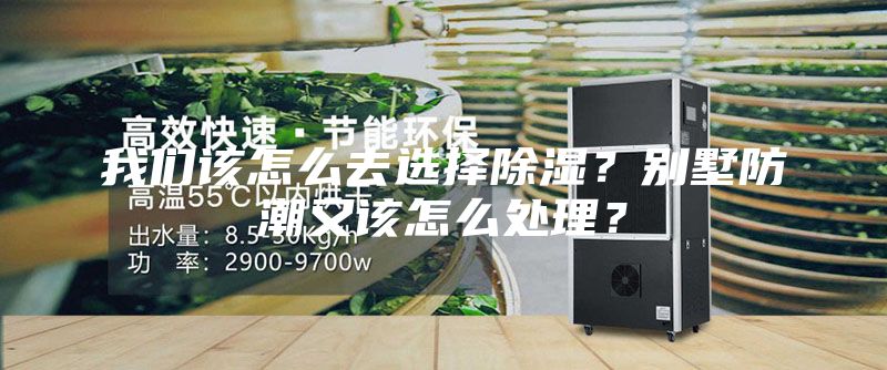 我们该怎么去选择除湿？别墅防潮又该怎么处理？