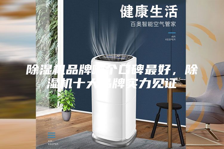 除湿机品牌哪个口碑最好，除湿机十大品牌实力见证