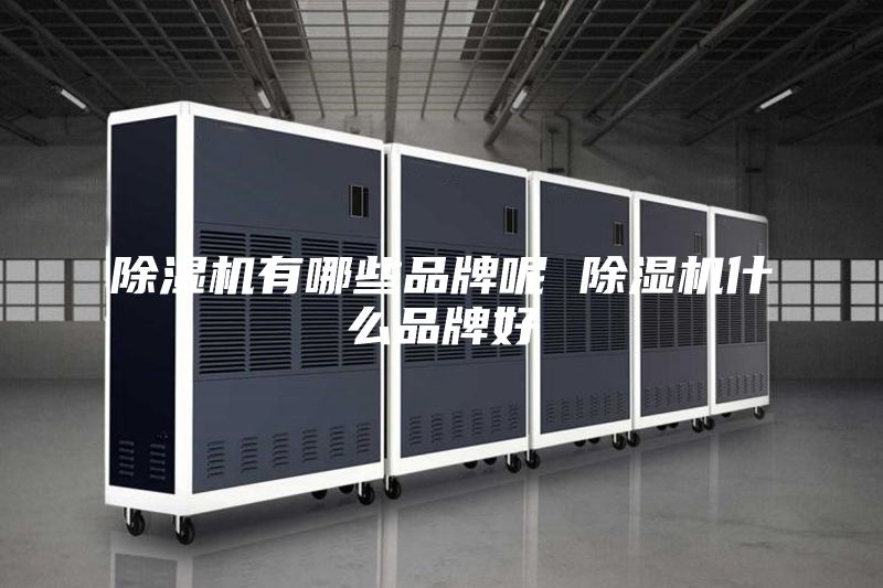 除湿机有哪些品牌呢 除湿机什么品牌好
